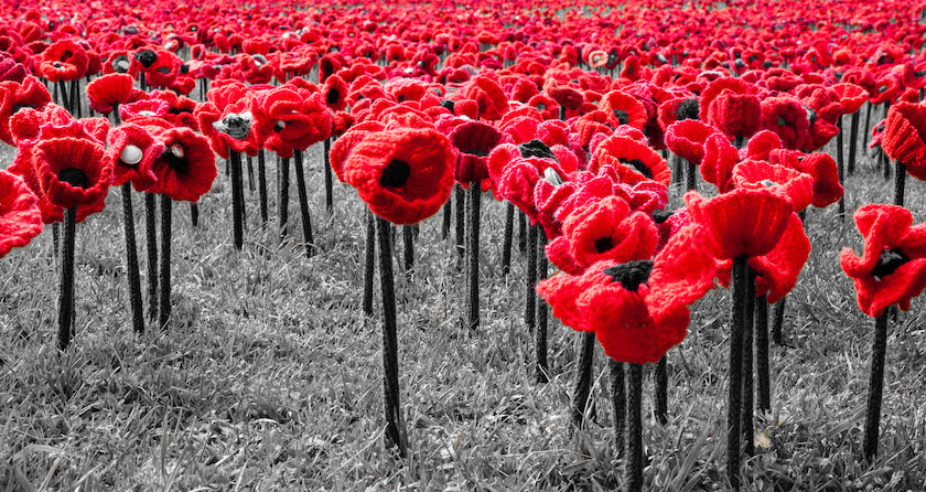 AWM poppies