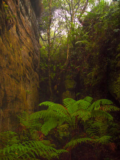 Monolith Valley