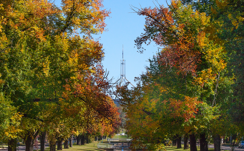 autumn